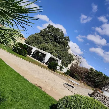 Tenuta Antico Leccio-3